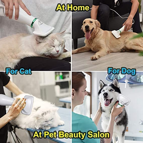 Uscator si perie pentru animale 2 in 1 pentru caini si pisici talie mica si medie