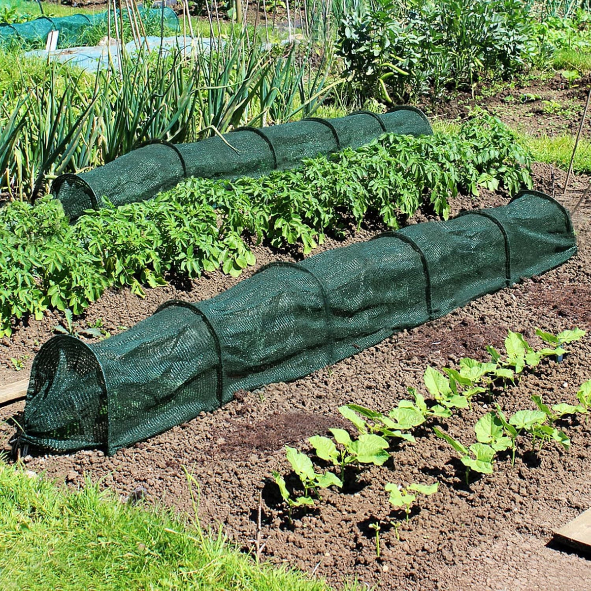 Tunel protectie plante 300x45 cm – plasa umbrire cu arcuri otel galvanizat