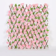 Roz deschis