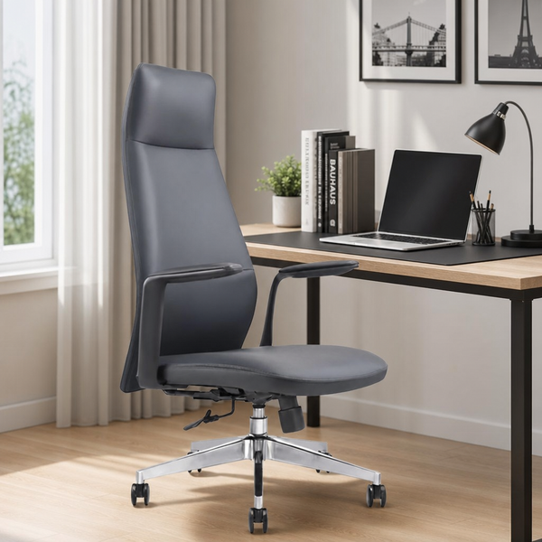 Scaun Ergonomic Birou Suport Lombar Inaltime Reglabila Negru - in context de utilizare