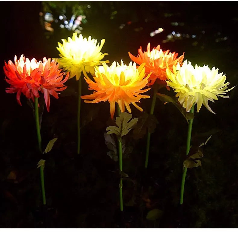 Set 2 lampi solare model Crizantema 80 cm pentru gradina iluminare decorativa exterior