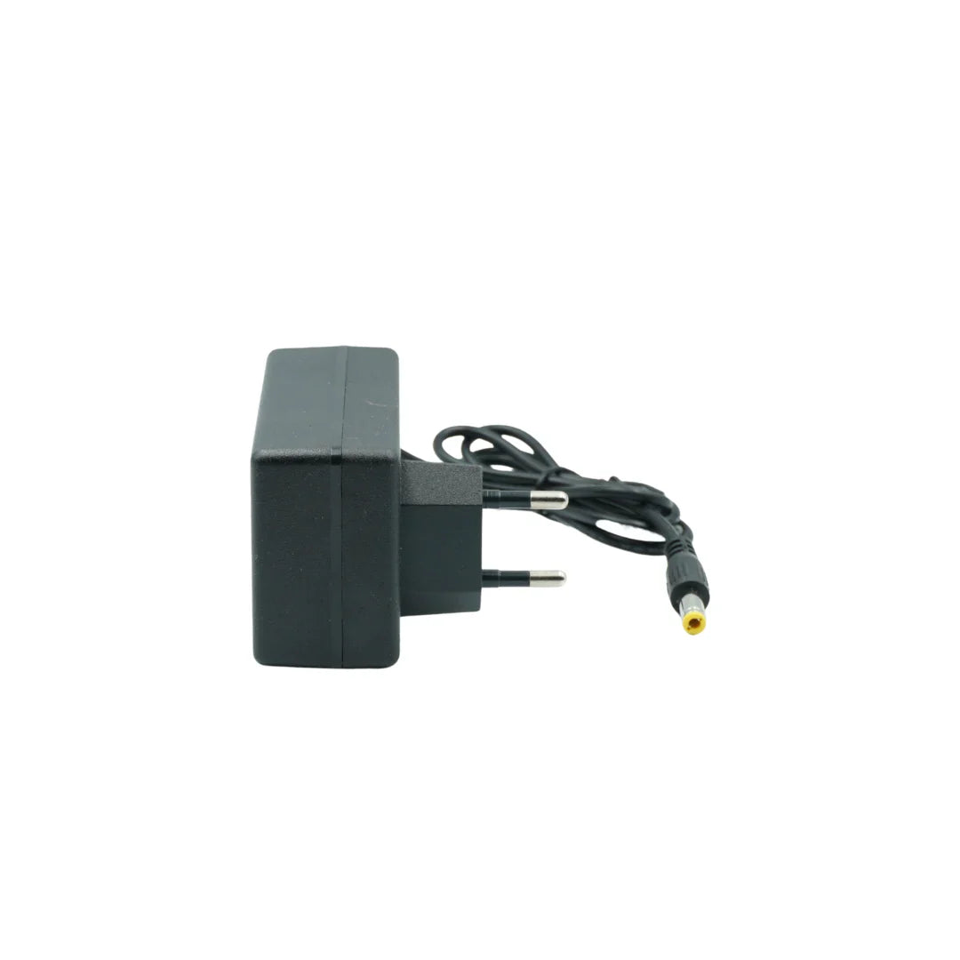 Pistol Electric de vopsea cu 1 acumulator de 48v, 1000ml - 3 moduri de pulverizare, ideal pentru tavane, pereti si garduri, albastru