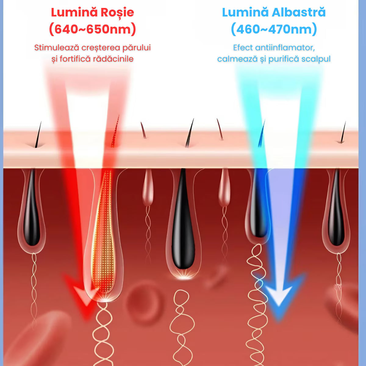 Perie termica inteligenta cu ionizare si lumina infrarosie, 46 puncte de masaj prin 3 trepte vibratii