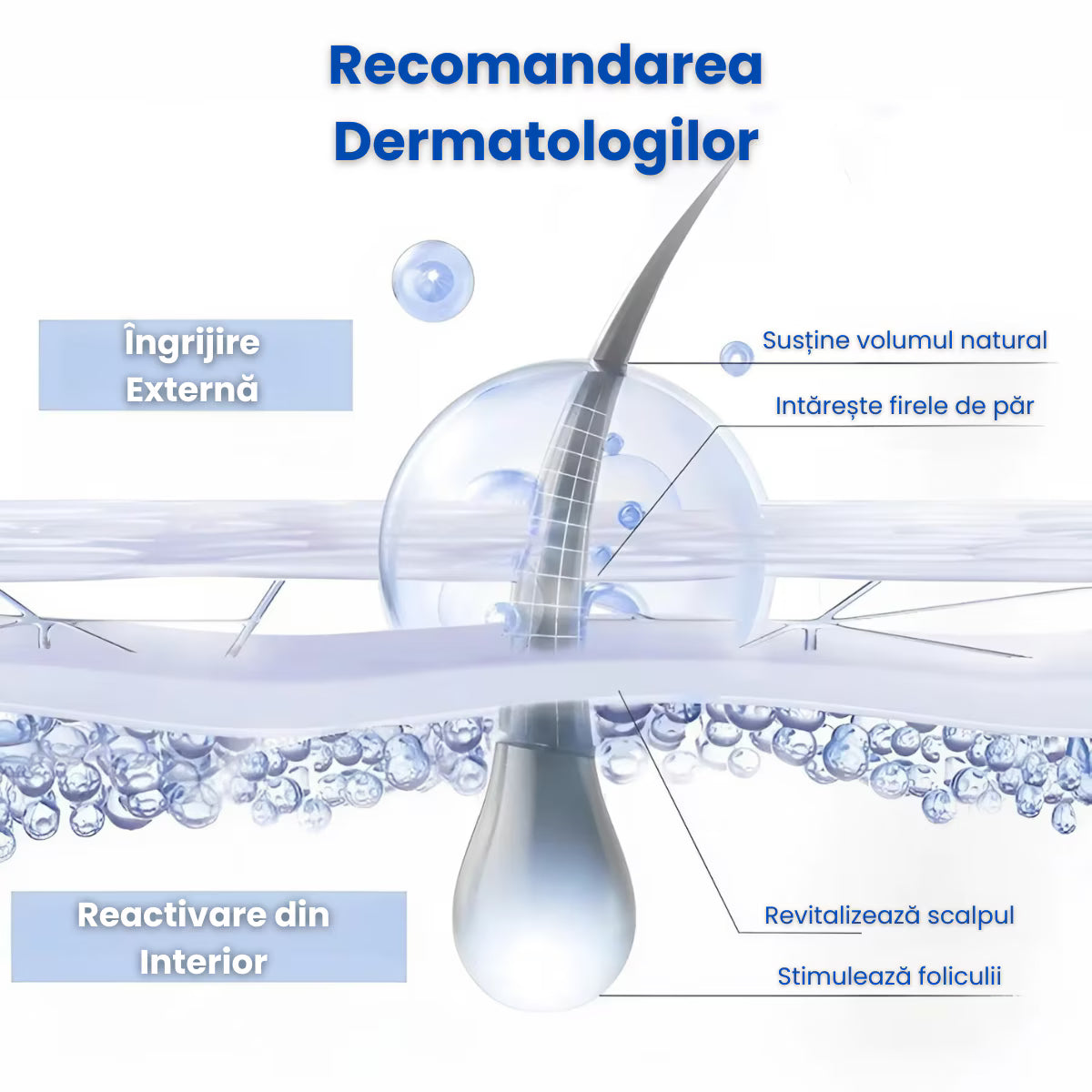 Perie termica inteligenta cu ionizare si lumina infrarosie, 46 puncte de masaj prin 3 trepte vibratii